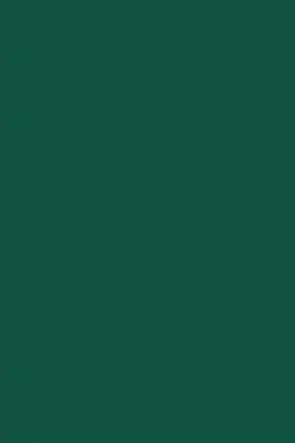 Vert Chasseur - 3mm Lacets Cirés Plats