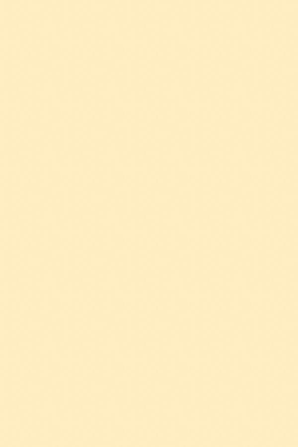 Chardonnay - 3mm Lacets Cirés Plats