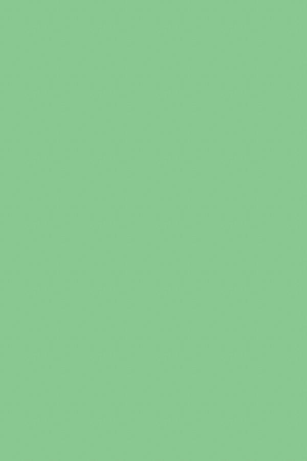 Vert Herbe - 3mm Lacets Cirés Plats